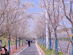 -幕燕滨江·燕子矶公园
