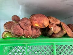 -山菌美食苑(振兴路店)
