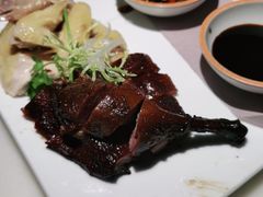 -佬肥猫(国华广场店)