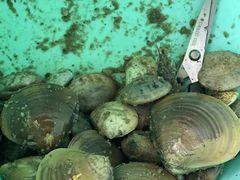 -北海金海湾红树林生态旅游区