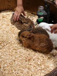 -Zoolung Zoolung动物主题公园(海信广场店)