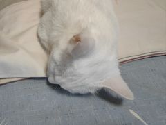 -满堂春特色餐馆