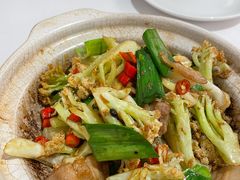 生炒有机菜花-月福京味斋·烤鸭店·北京菜(鼓楼总店)