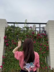 -禾里設計