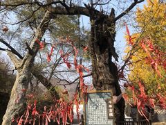 -水峪民俗村