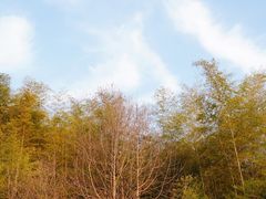 -南山风景名胜区