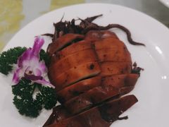 -影居starhoho·泳池别墅轰趴馆·天璇