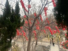 -中国翰园碑林