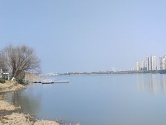 -金银湖国家城市湿地公园