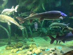 -华夏文旅海洋公园