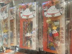 -猫咪博物馆(顶澳仔猫街店)