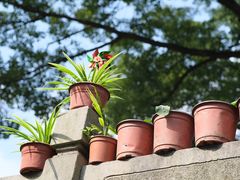 -国生茶庄·地道农家菜团建活动