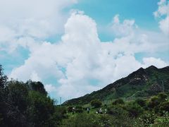-兰州吐鲁沟国家森林公园