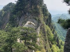 -内乡宝天曼生态旅游区