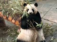 -青藏高原野生动物园