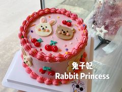 ins手绘蛋糕-兔子妃私人定制蛋糕(城南花苑南区店)