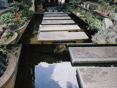 -玉湖村