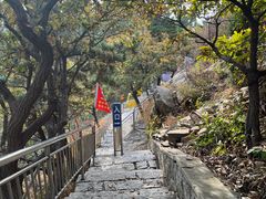-南山公园