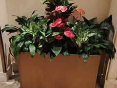 -粤珍轩.创始店.始于2001(含光门店)