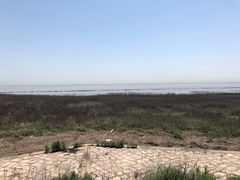 -南汇嘴观海公园