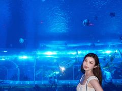 -石家庄极地海洋世界