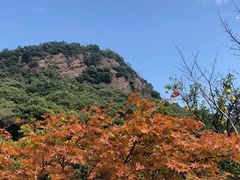 -湘湖金融镇