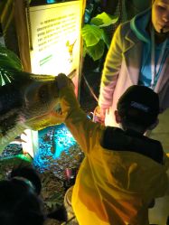 -恐龙探索乐园(磁器口店)