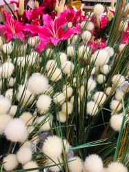 -TIME SPA科技美肤机构