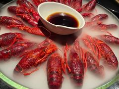 -红盔甲·小龙虾(崂山路店)