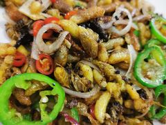 蜂蛹-红炎炎农家菜老字号(金水台店)