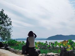 -东湖落雁景区