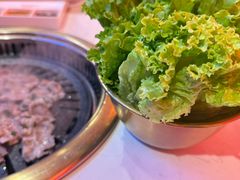 -杨记齐齐哈尔烤肉(总店)