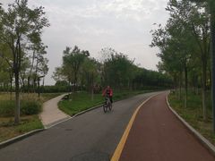 -天津东丽湖风景区