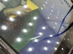 -车艺尚上海龙膜隐形车衣汽车贴膜旗舰店