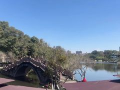 -桂湖森林公园