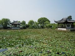 -无锡蠡湖国家湿地公园-蠡园