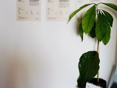 -纽巷咖啡 SOFTFOCUS COFFEE(锦和巴黎时韵店)