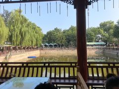 -尚庄度假村·庭台树下·户外烧烤·团建CS·轰趴营地(上庄水库店)