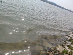 -羊山湖公园