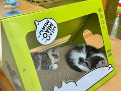 -帕帕拉兹宠物(亚洲旗舰店)