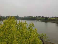 -东郊湿地公园