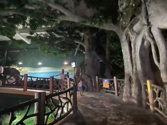 -苏州海洋馆
