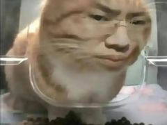 -老太皮肚面