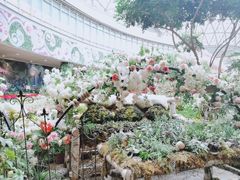 -花之城