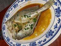 陈皮丝蒸黄花鱼-银珠渔港·海鲜砂锅粥