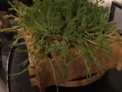 -凤园椰珍·臻品椰子鸡(保利时光里店)
