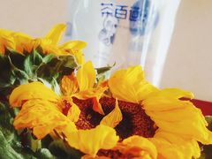 -茶百道(宜昌万达店)