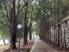 -三水森林公园
