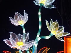 -金城公园
