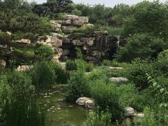 -燕郊植物园